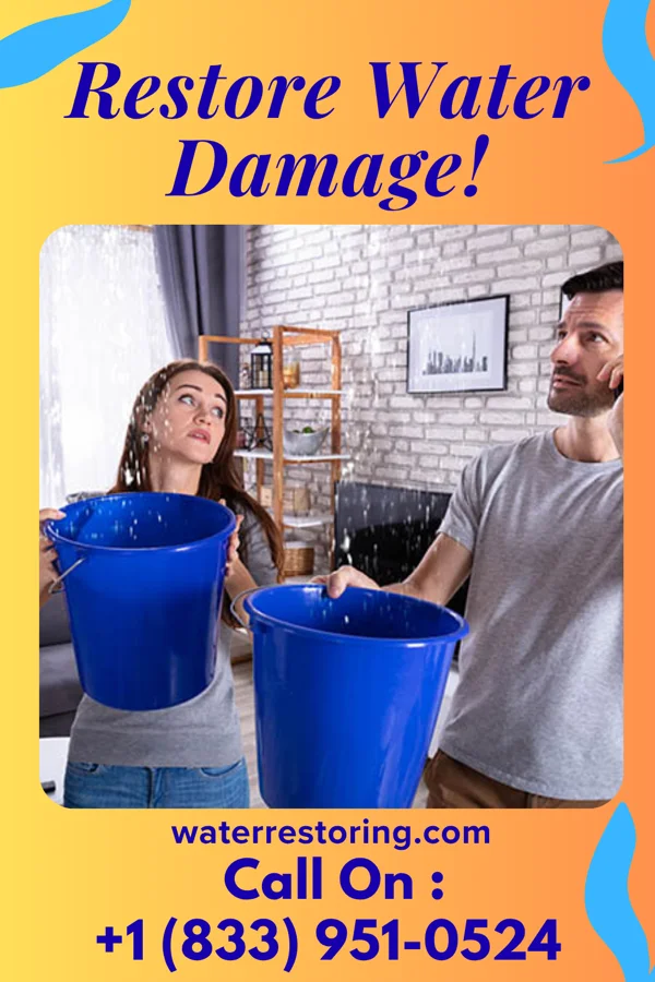 water restoration Prime Sewage Cleanup & Associates Hetland