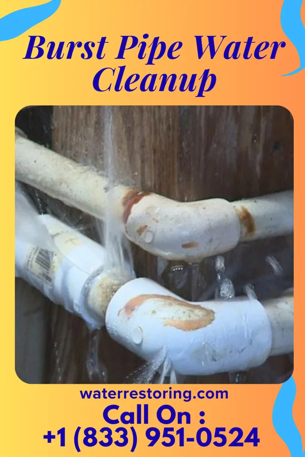 Burst Pipe Water Cleanup in Hetland, SD