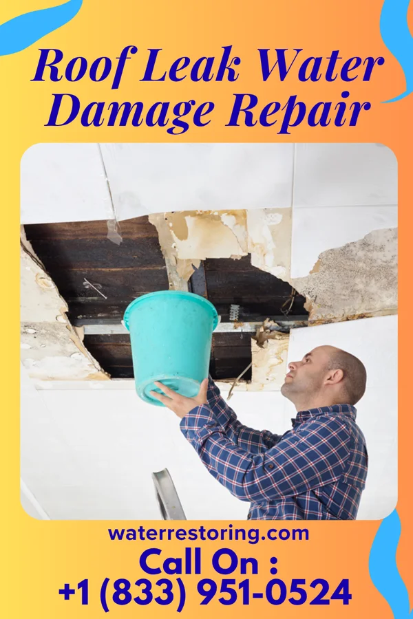 Roof Leak Water Damage Repair in Hetland, SD